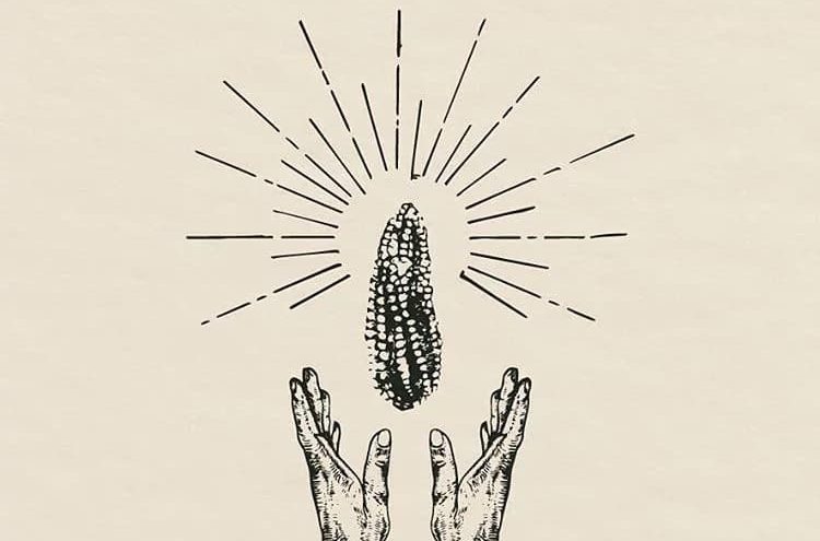 L&rsquo;importance du maïs au Mexique